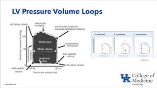 Valvular Heart Disease - Dr. Schell