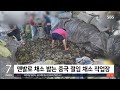 중국산 김치  리뷰 (10kg 11,000원)