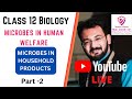 Class 12 | Chapter 8 -MICROBES IN HOUSEHOLD PRODUCTS | Part- 3