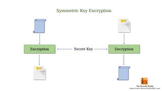 Cryptography Vs. Cryptology Vs. Cryptanalysis - What Is The Difference?