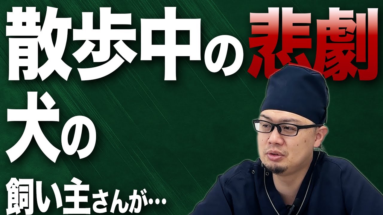 【知らないと危険】自転車散歩で愛犬が大ケガした話