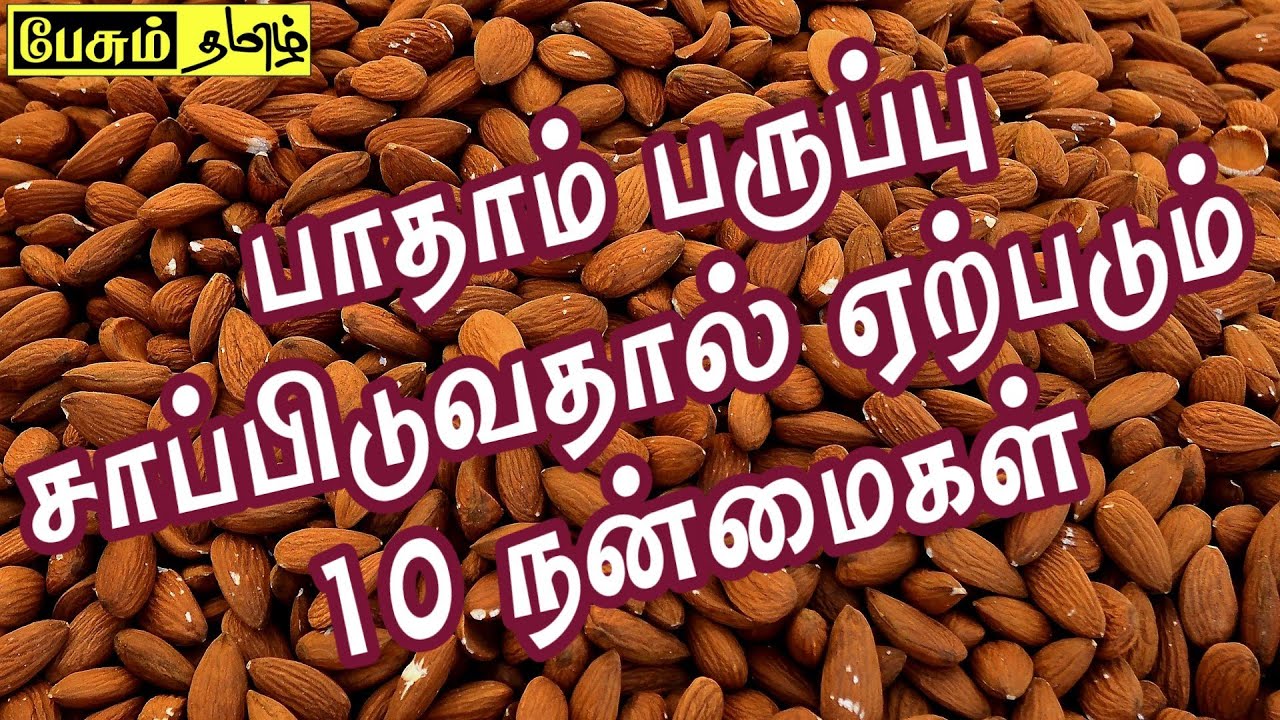 Benefits of badam in tamil Paesum tamil YouTube