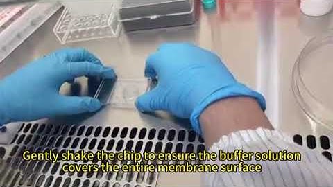 Prosperm Microfluidic sperm cell sorter