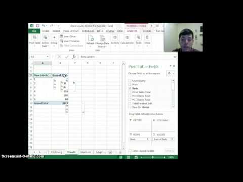 Creating Histograms with Pivot Tables in Excel