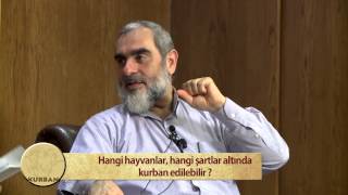 121) Hangi Hayvanlar, Hangi Şartlar Altında Kurban Edilebilir?