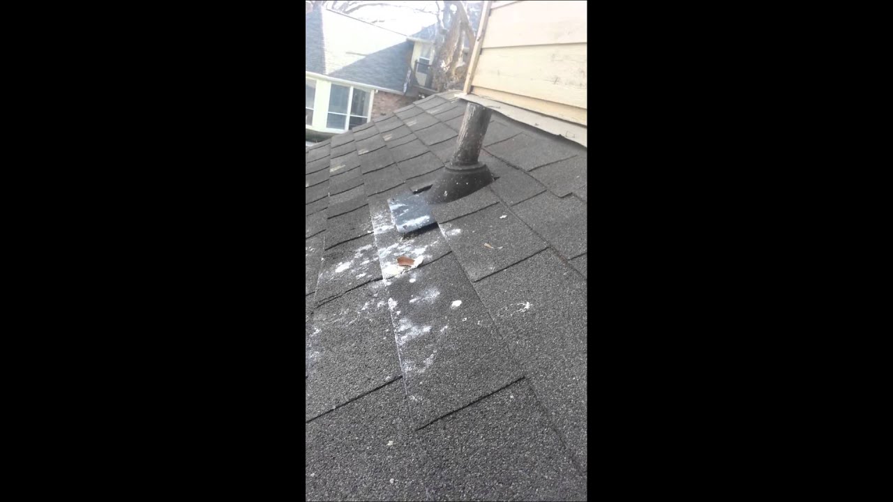 Damage Caused By Trees on a Roof