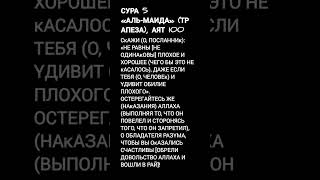 Сура 5 «Аль-Маида» (Трапеза), аят 100