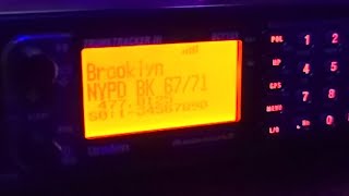Live Scanning NYC