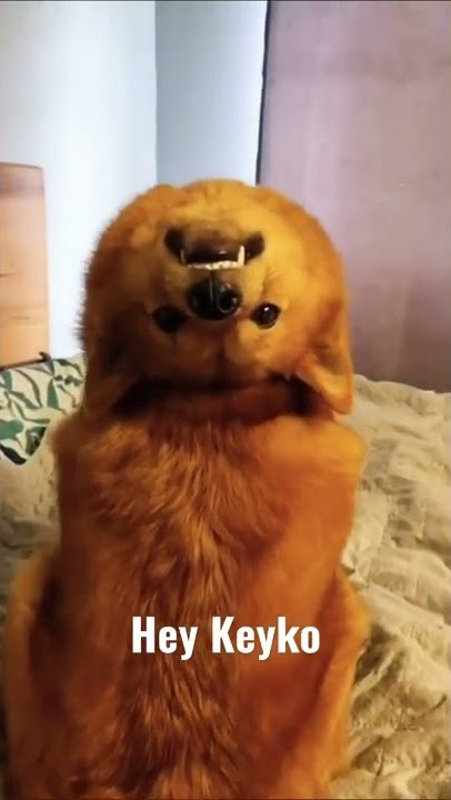 Kepala Anjing Terbalik #hororkomedi #horor #ngakak #seram #hantu #anjing #lucu #fyp