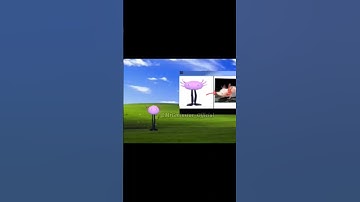 WHY ARE YOU DOING THAT #KinitoPet #Meme #memes #windowsXP #virus #hacker #shorts