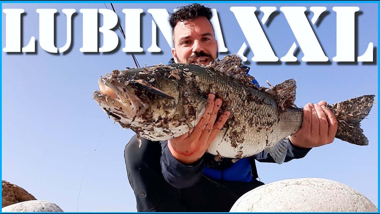 Probando NUEVO EQUIPO ROCKFISHING capturo mi LUBINA RÉCORD