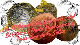 Los 70 Beneficios Increíbles Del Borojó La Fruta Energética Y Nutritiva De La Selva