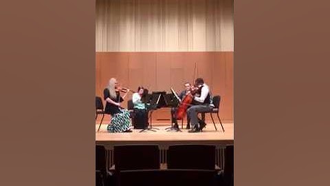 Rosined String Quartet - Grieg String Quartet No. 1 in G Minor - First Movement - Part One