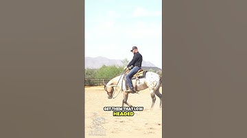 Rather than pulling to get one soft, do this instead.  #reining #reiningmasterclass #horsetrainingti