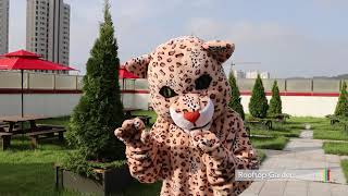 Tiger Is Coming A Parody By Dulwich College Seoul