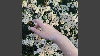 Touch