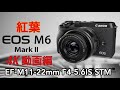 【4K】CANON EOS M6 Mark Ⅱ で紅葉を撮ってみた。