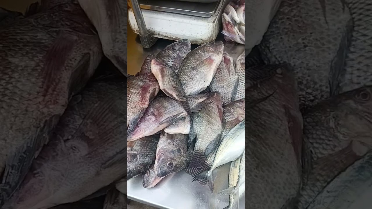 vellai keluthi🪄❤️ 