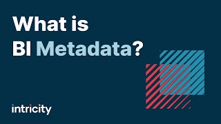 What is BI Metadata Update