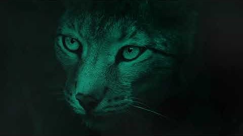 EZLynx 5 is Rating Reimagined