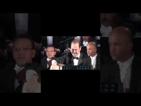 الطرب الاصيل والصوت الجميل لطفي ابو شناق مقطع قصير من اغنية انا مواطن 6 8