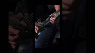 The BEAUTIFUL sound of a 100% GLASS GUITAR