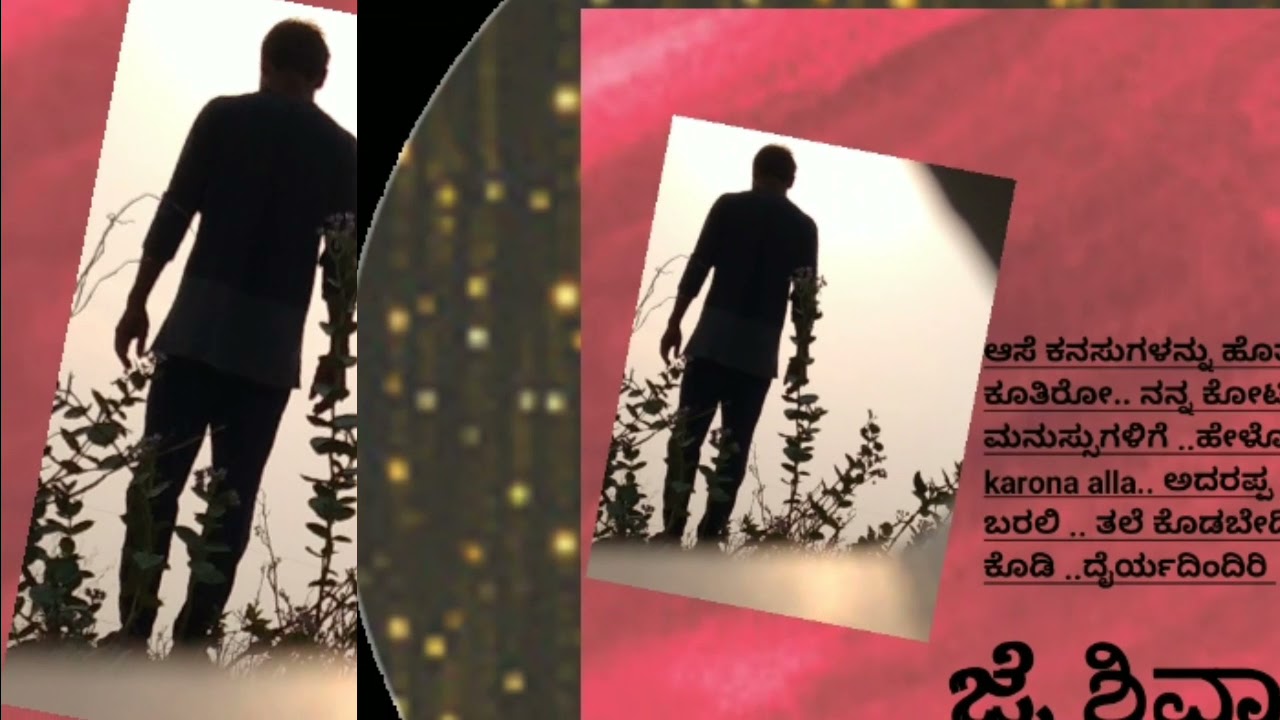 ndp janatha bazar films  lins