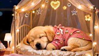 Calming Pet Sounds 🐾 3 Hours of Dog Sleep Music | Anxiety Relief & Better Sleep screenshot 5