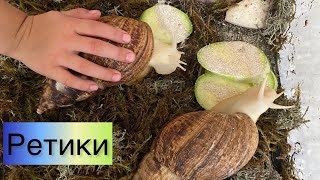 Ретики 🐌🐌