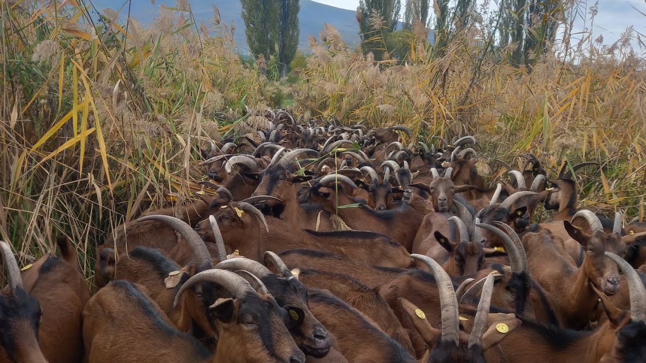 21 октомври 2025