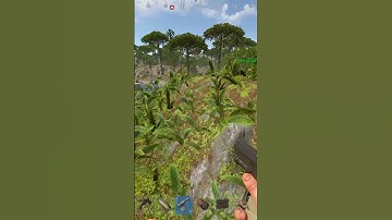 Jungle is wild... #shorts  #rust #pcgames #rustconsole #rustgame #gaming #rustclips #pvp
