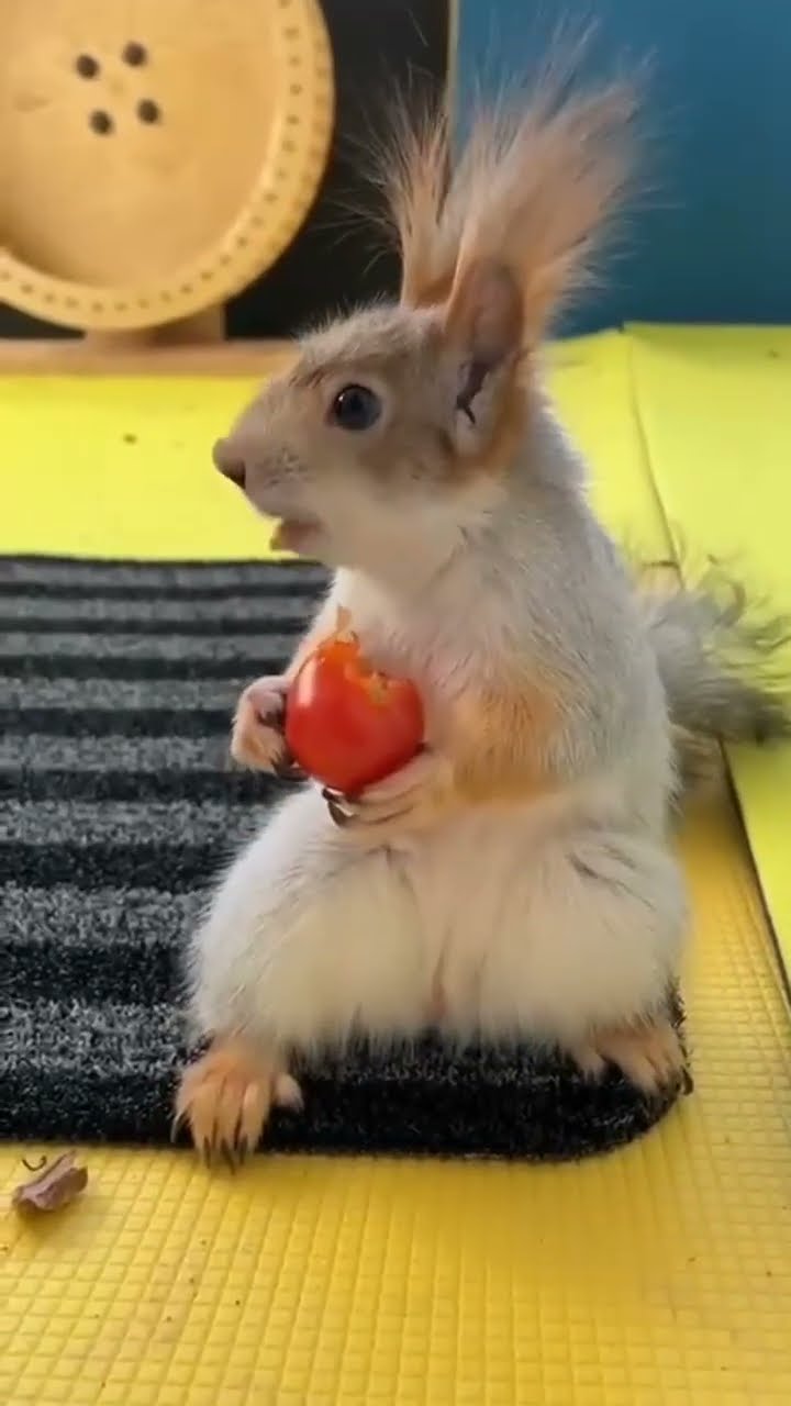 #вера МУДРОСТЬ УЧИМСЯ ??????ПУСТЬ ГОСПОДЬ ХРАНИТ КАЖДОГО С БОГОМ МИРА ВСЕМ ...