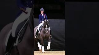 Valegro and Charlotte Dujardin 🐴🤎 #horse #dressagehorse #valegro #fyp