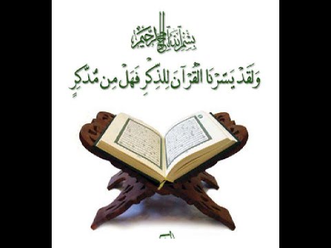 سورة آل عمران الشيخ محمد حسان