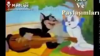 Aso Ve Paylaşımları Korona Virüsü Pişika Kiza Kere