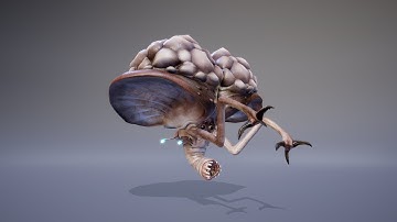 Kapeloproboskid Showcase