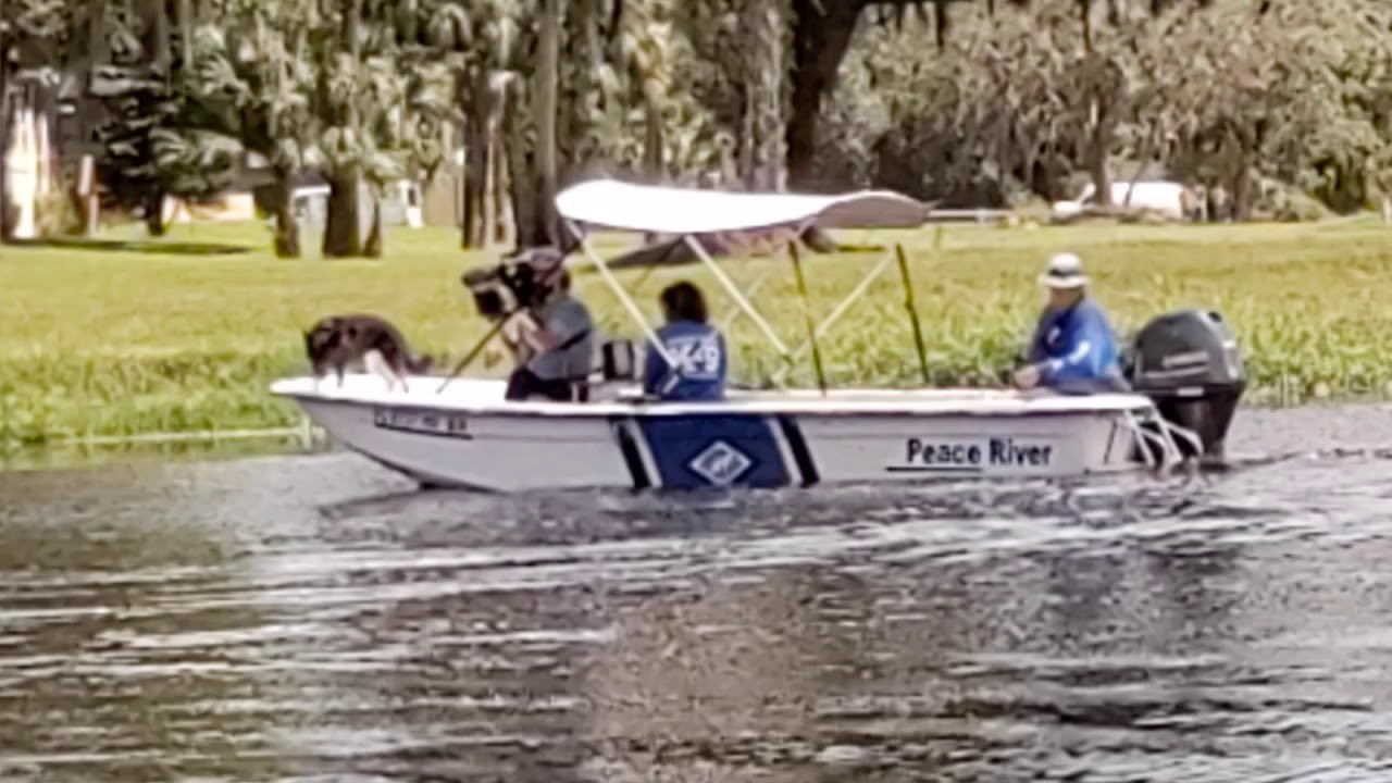 Tiger King - Cadaver Dog hits on a spot on a lake that Don Lewis use to own.
