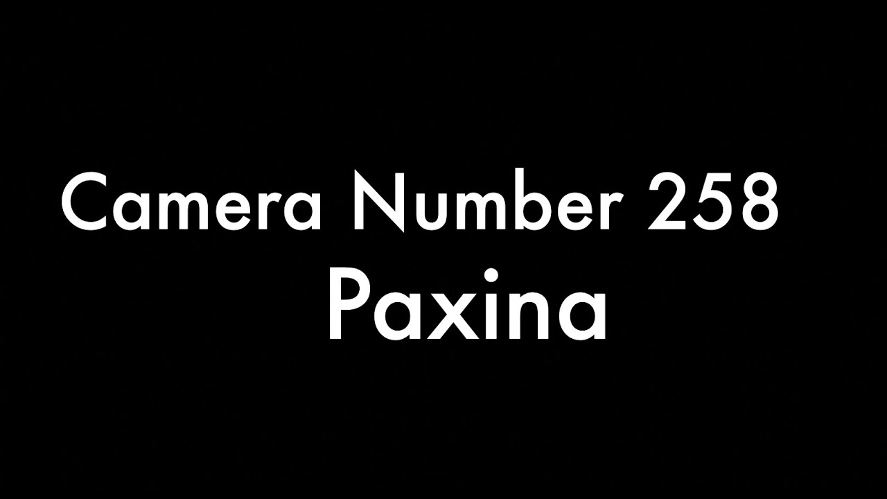 365 Camera Project - Camera Number 258 Paxina - YouTube