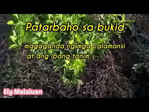 Halaman sa Bukid