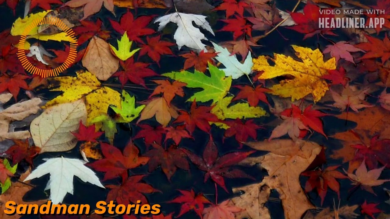 Georgia: Asphurtzela (Wardrop)