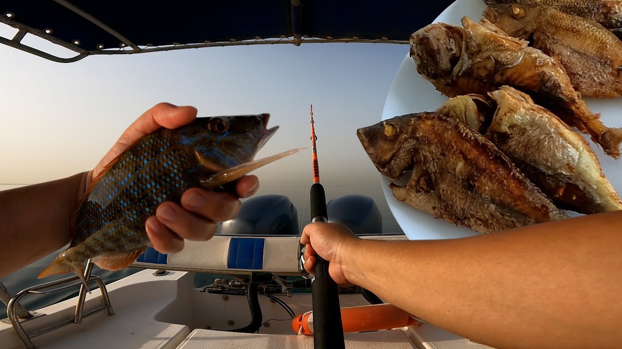 Offshore Spangled Emperor Catch and Cook