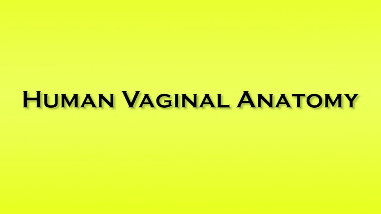 Pronunciation of Human Vaginal Anatomy