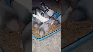 Efsane Cenk Burak Özbayeri̇n Tayfalardan