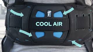 Falltech Ft-One Full Body Harness