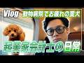 【会計士Vlog】30代経営者のリアルなオンとオフ。愛犬の動物病院、熱すぎる経営者の集い、同志社大学での講義に完全密着
