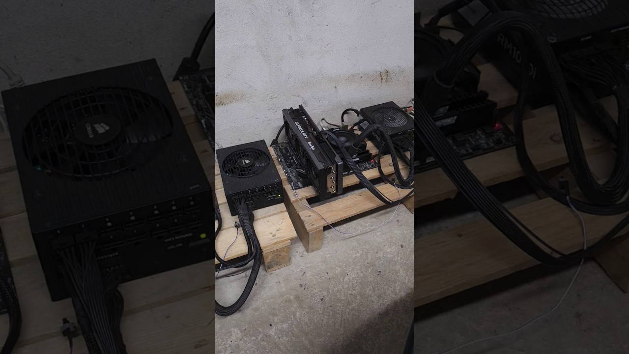 $100 Salad Giveaway New Winner 