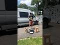 #vanlifevoyages #vanlife #coupleshorts