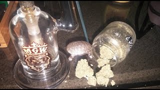 Turtle 4614/High Ep.105 MGW Glass