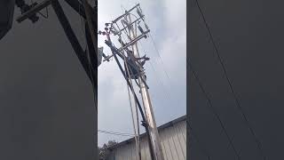 HT 11kv  transformer fuse connection completed #electrical