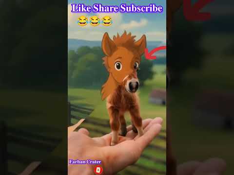Horse Baby Dekhe